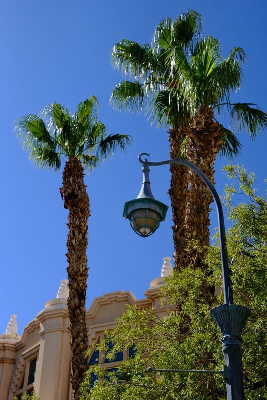 A photograph made with the Vista Vivid recipe