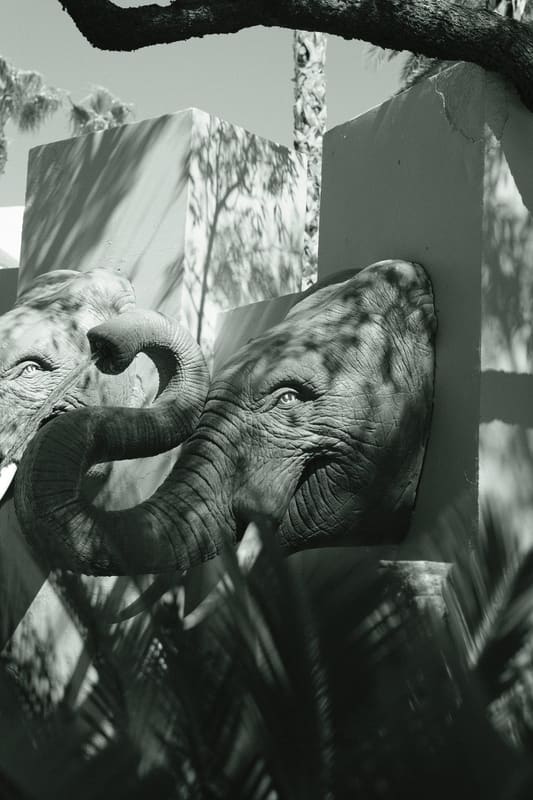 A photograph made with the Workhorse Mono recipe