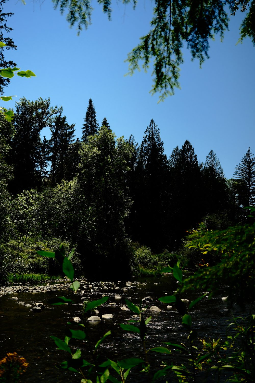 A photograph made with the Deep Chrome recipe