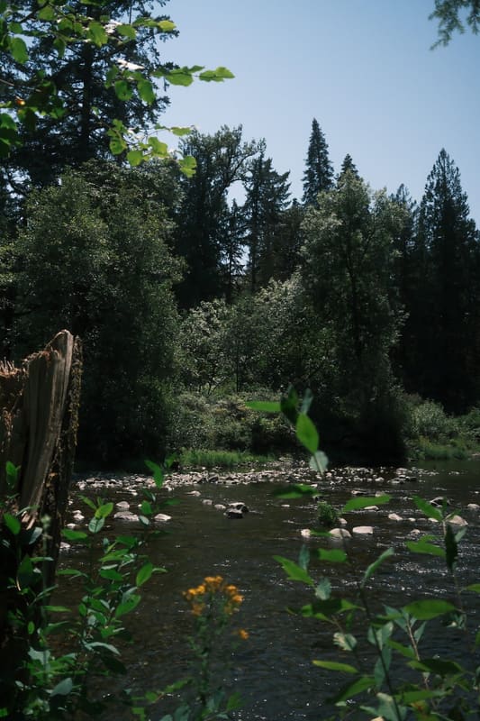 A photograph made with the Faded Sunday recipe