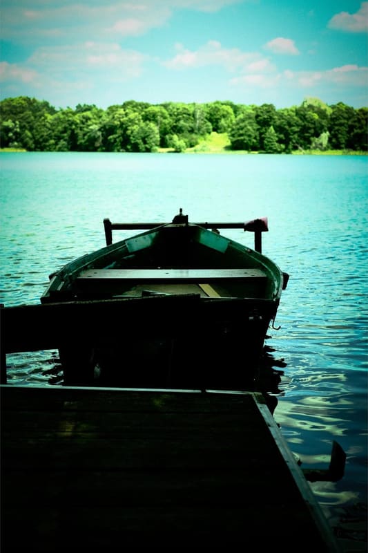 A photograph made with the Kodak Ektachrome EBX C41 Crossprocessed recipe
