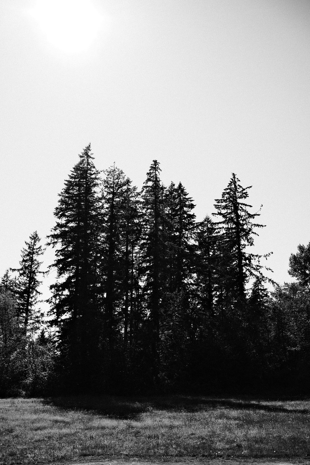 A photograph made with the Hard Silver recipe