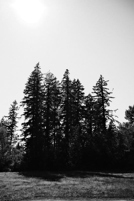 A photograph made with the Hard Silver recipe