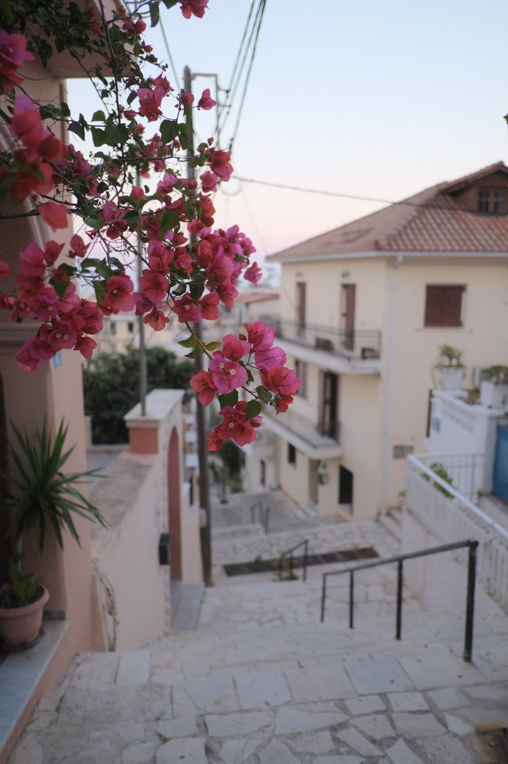 A photograph made with the Kodak Pro Image 100 recipe