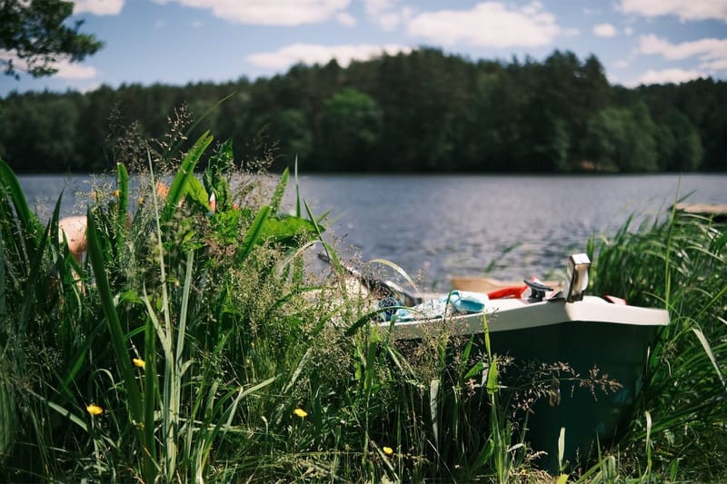 A photograph made with the FujiFilm Reala 100 recipe